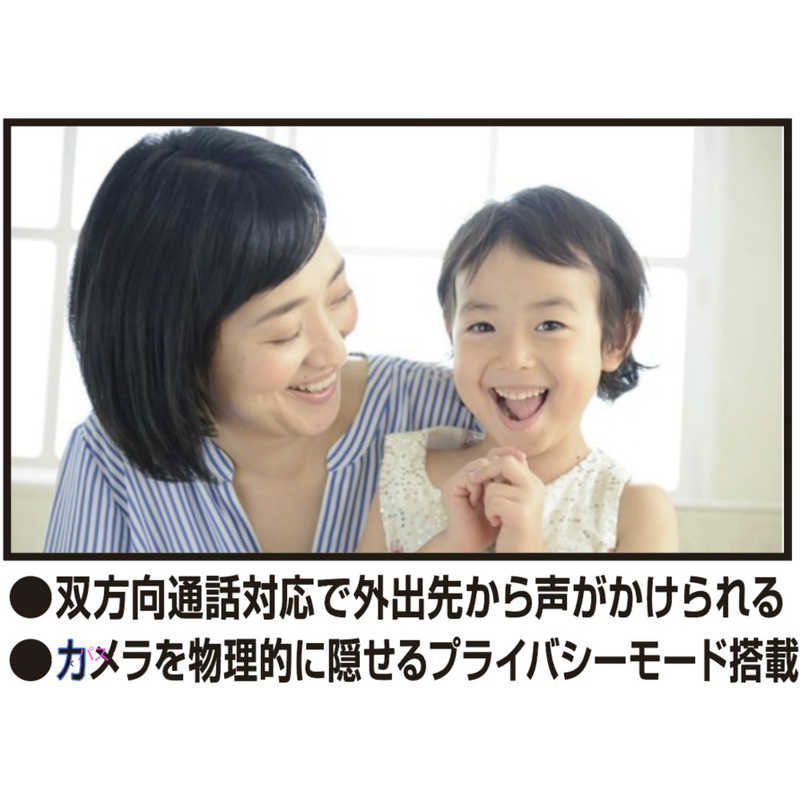 カシムラ　スマートカメラ リモコン/温湿度/首振-巡回 [無線 /暗視対応]　KJ-195
