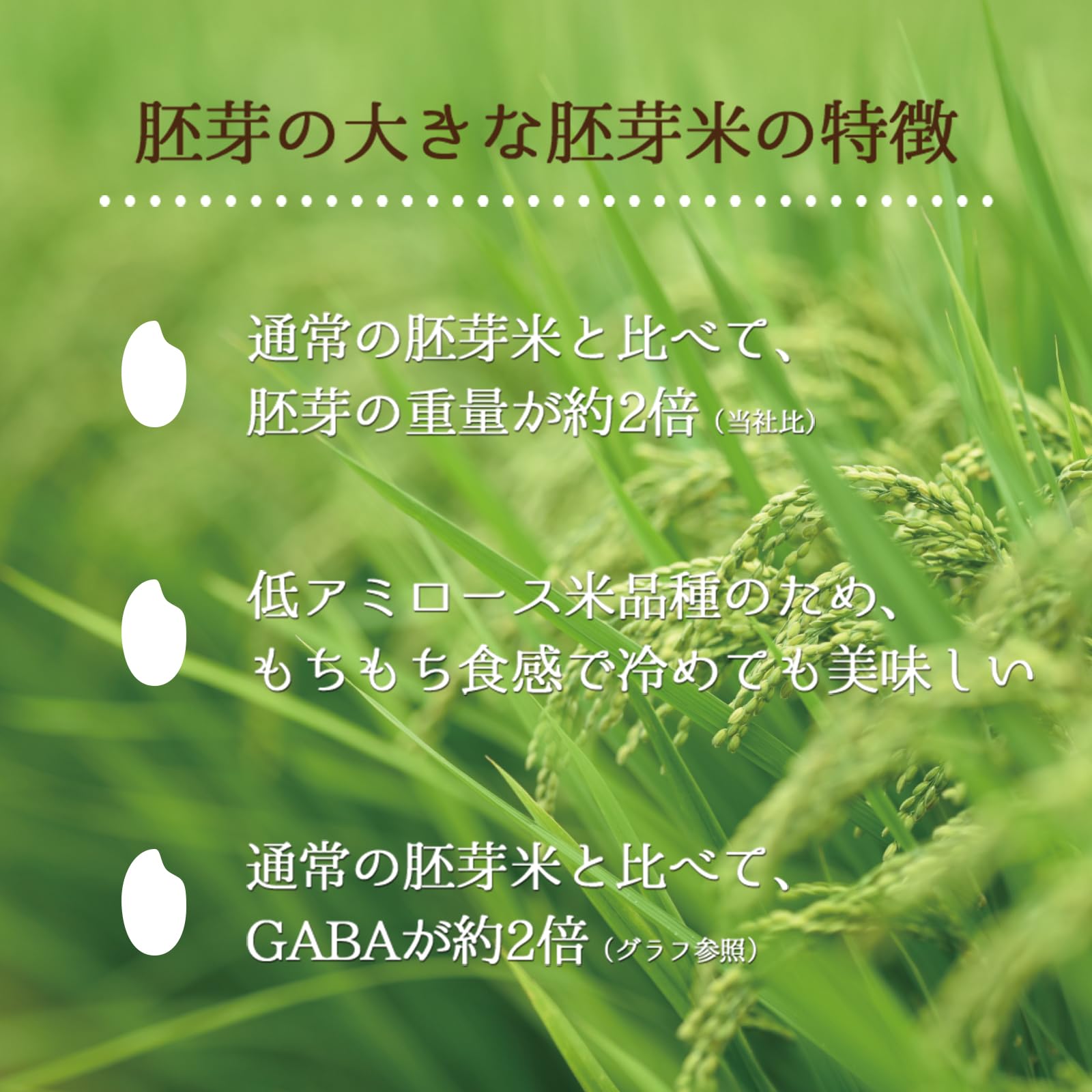 ミツハシ 【精米】胚芽米 胚芽の大きな胚芽米 2kg ミツハシ 【精米】胚芽米 胚芽の大きな胚芽米 2kg