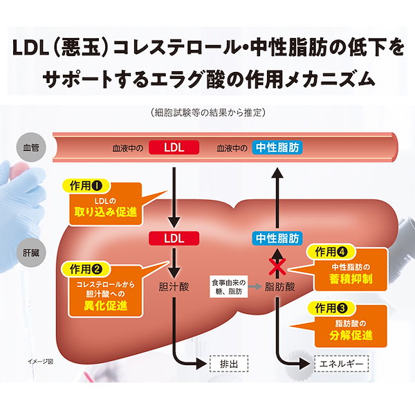 Qoo10] 大正製薬 【公式】 大正製薬 コレステロールや中性