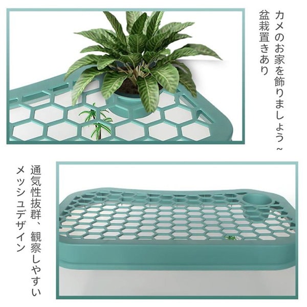 カメちゃん Amazon.co.jp: ハムちゃんずコレクション とっとこカメハムくん