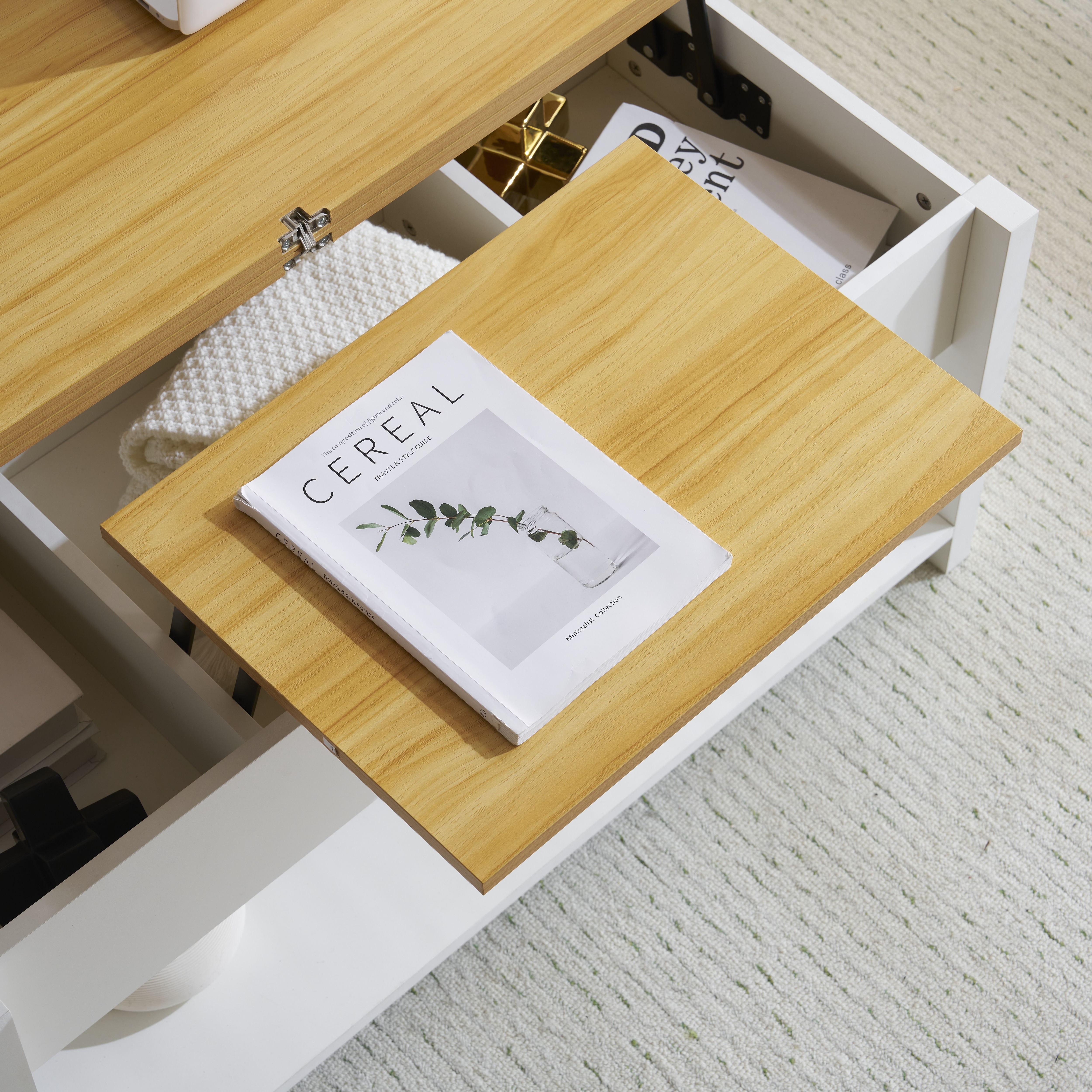 ローテーブル 収納付き センターテーブル 天板昇降式 天板2倍展開可能 大容量 簡単開閉 昇降式 収納テーブル おしゃ ローテーブル 収納付き センターテーブル 天板昇降式 天板2倍展開可能 大容量 簡単開閉 昇降式 収納テーブル おしゃ