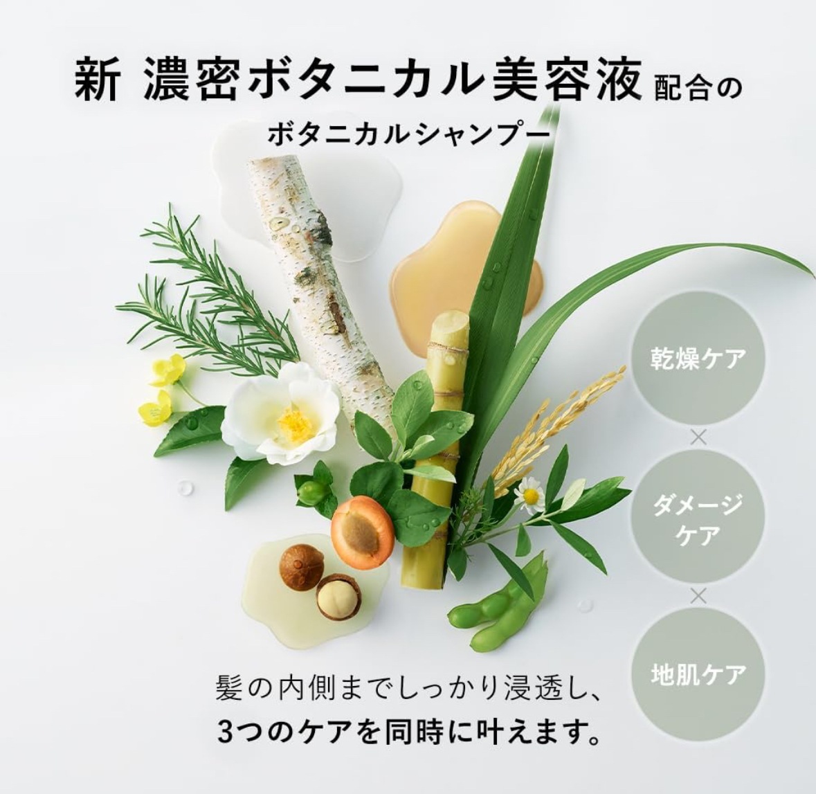 シャンプー &トリートメント セットモイスト 詰め替え 1200ml　新品