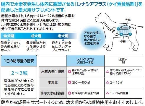 レナトスST 水素サプリメント 30粒 愛犬用 レナトスジャパン