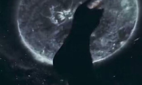 Qoo10] 【BTS ジミン愛用】Spacecraf