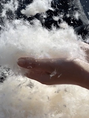 WXLSTUDIO おしゃれ防寒着「ウィンタースモールウォーマー」 ホワイトグースダウン95% ショートシルエットダウンジャケット