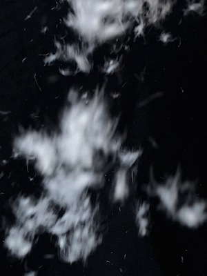 WXLSTUDIO おしゃれ防寒着「ウィンタースモールウォーマー」 ホワイトグースダウン95% ショートシルエットダウンジャケット