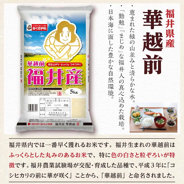 華越前　米　Qoo10]　福井県産　ハナエチゼン　幸南食糧　精米