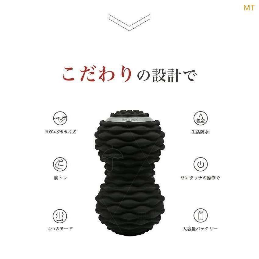 シェイプツインボール 振動 マシン ボール 骨盤 バランス 腹筋 お腹 筋トレストレッチ エクササイズ 筋肉 UBS充電　コンパクト 4段階