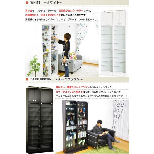 ショーケース/コレクションラック ... : 家具・インテリア 浅型 新作正規店
