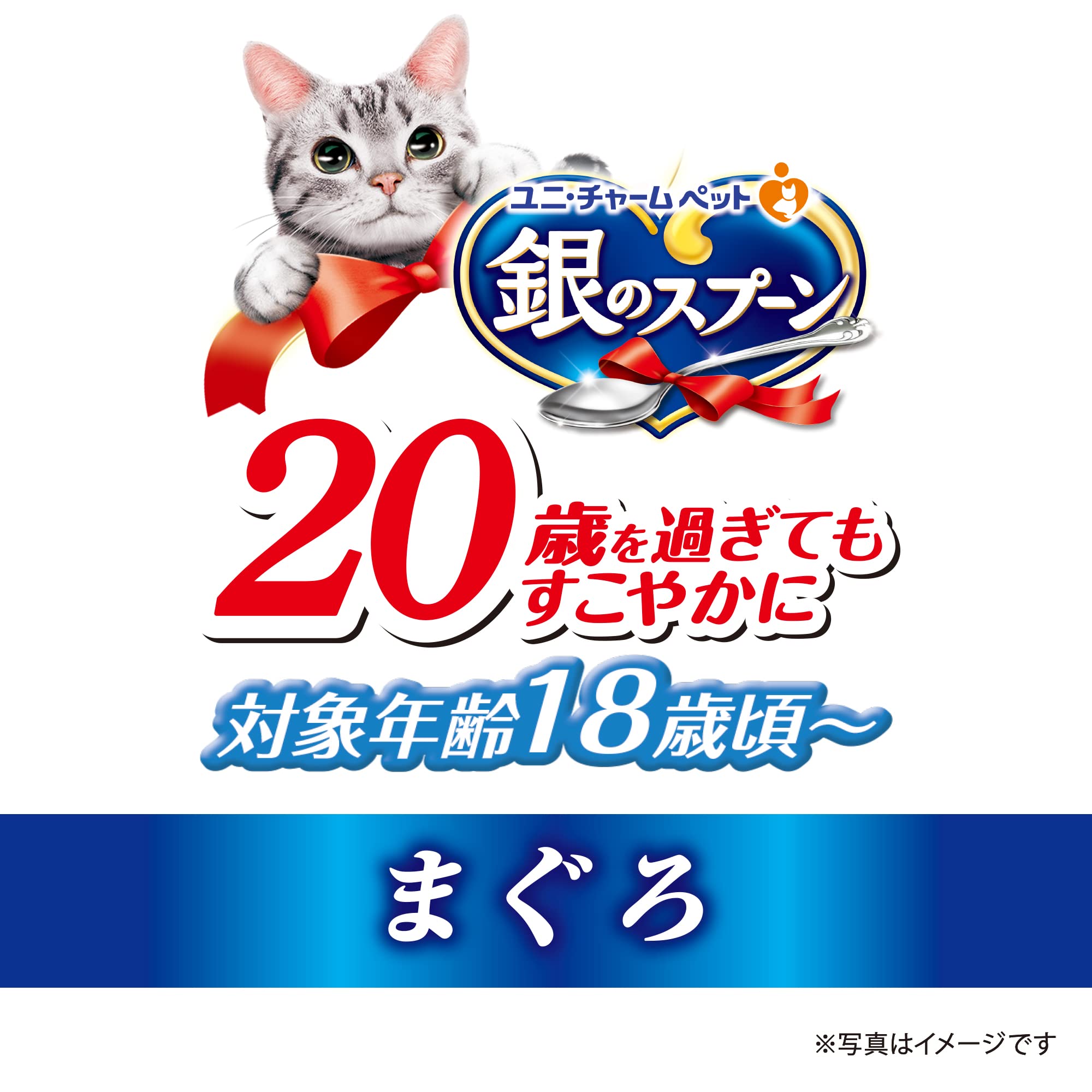 銀のスプーン 缶 20歳を過ぎてもすこやかに まぐろ 70g×48個セット