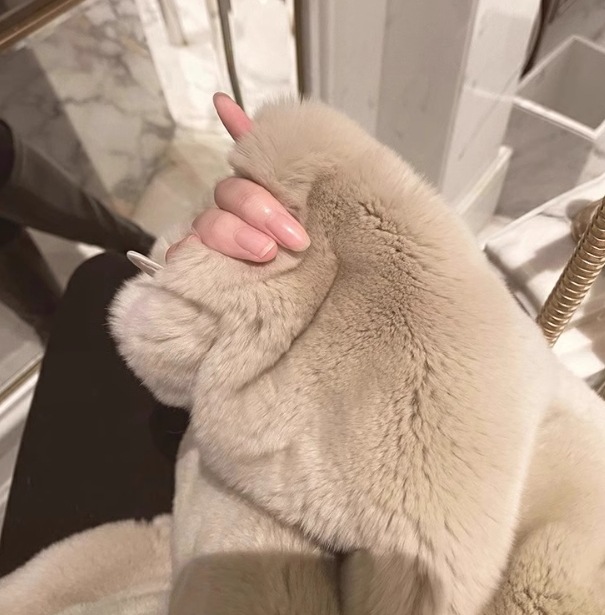 レディース ジャケット パーカー コート アウター ファー ショート 長袖 ボリューム袖 ドルマンスリーブ 萌袖 フェミニン ファスナー 厚手 大人可愛い カジュアル 上品 おしゃれ かっこいい ラフ レディース ジャケット パーカー コート アウター ファー ショート 長袖 ボリューム袖 ドルマンスリーブ 萌袖 フェミニン ファスナー 厚手 大人可愛い カジュアル 上品 おしゃれ かっこいい ラフ