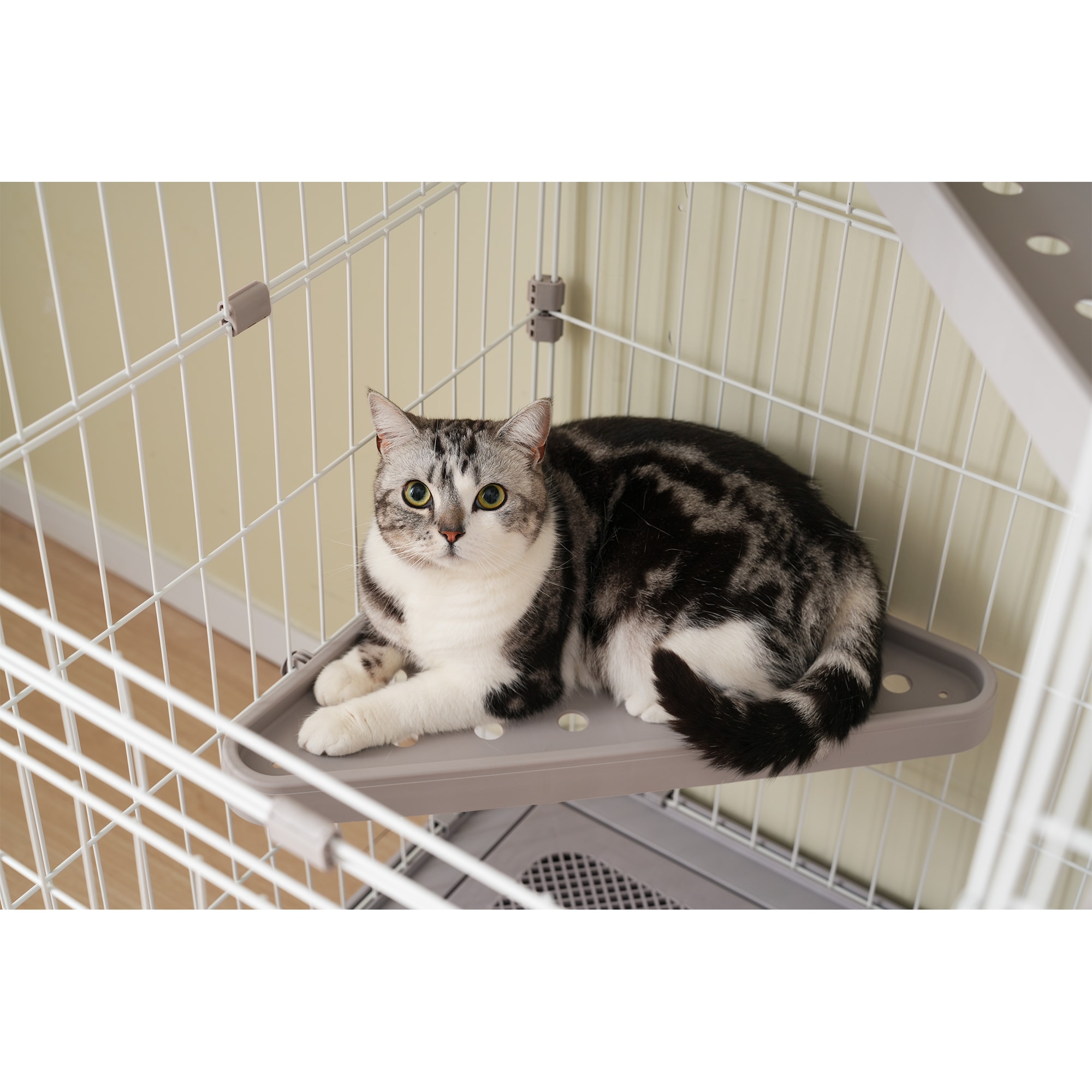 猫 掃除しやすいトレーケージ キャットケージ 2段 多頭飼い 引き出しトレー 自由組み合わせ 猫ドア キャットハウス ペット ゲージ 猫 ゲージ 大型 キャスター付き ハンモックネコ ハウス 留守 猫 掃除しやすいトレーケージ キャットケージ 2段 多頭飼い 引き出しトレー 自由組み合わせ 猫ドア キャットハウス ペット ゲージ 猫 ゲージ 大型 キャスター付き ハンモックネコ ハウス 留守