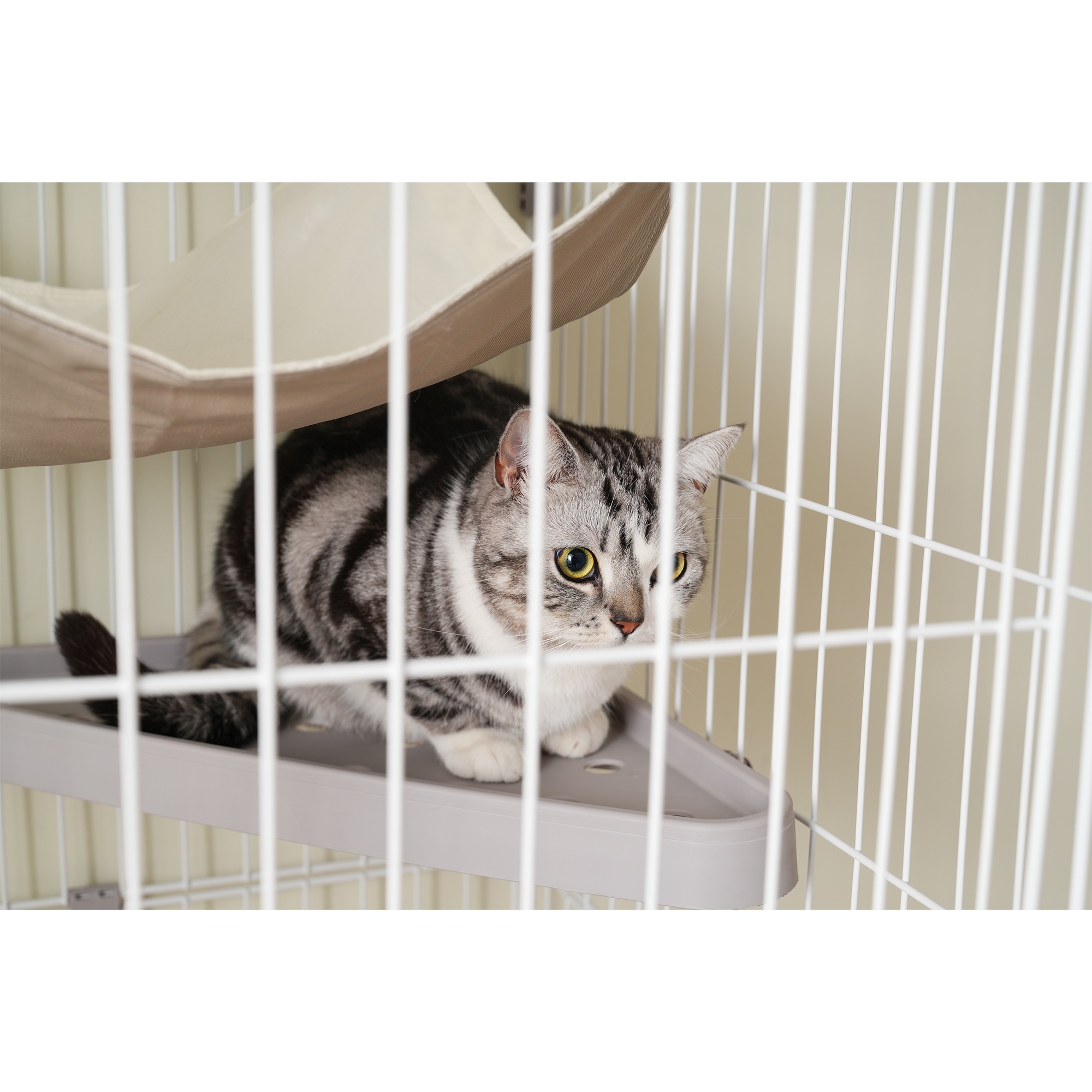 猫 掃除しやすいトレーケージ キャットケージ 2段 多頭飼い 引き出しトレー 自由組み合わせ 猫ドア キャットハウス ペット ゲージ 猫 ゲージ 大型 キャスター付き ハンモックネコ ハウス 留守 猫 掃除しやすいトレーケージ キャットケージ 2段 多頭飼い 引き出しトレー 自由組み合わせ 猫ドア キャットハウス ペット ゲージ 猫 ゲージ 大型 キャスター付き ハンモックネコ ハウス 留守