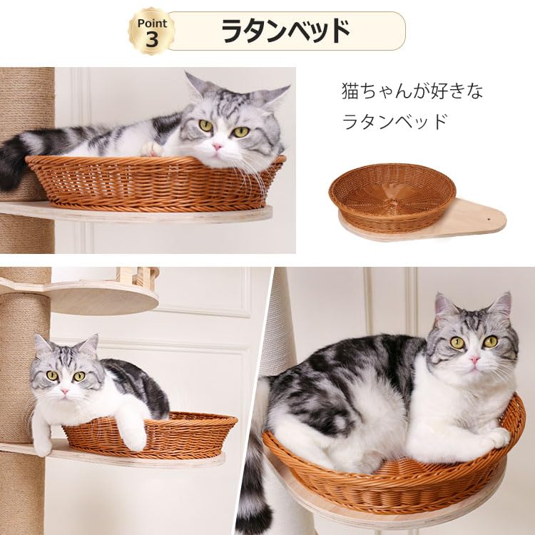 【なになにLife】 キャットタワー 突っ張り スリム 木製 シニア 宇宙船 シンプル キャットツリー 猫タワー 太い支柱 大型猫 中型 おしゃれ 省スベース 宇宙船ボウル 隠れ家 爪とぎ 多頭飼い 【なになにLife】 キャットタワー 突っ張り スリム 木製 シニア 宇宙船 シンプル キャットツリー 猫タワー 太い支柱 大型猫 中型 おしゃれ 省スベース 宇宙船ボウル 隠れ家 爪とぎ 多頭飼い