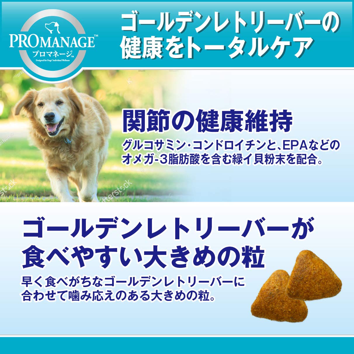 プロマネージ ドッグフード 成犬用 ゴールデンレトリーバー専用 4キログラム (x 3) (ケース販売) プロマネージ ドッグフード 成犬用 ゴールデンレトリーバー専用 4キログラム (x 3) (ケース販売)