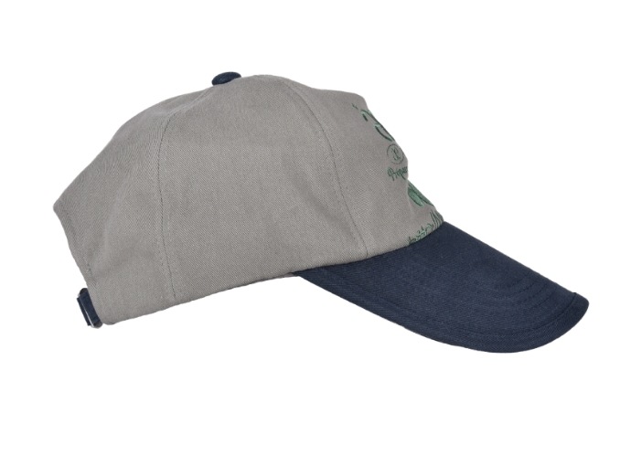 キャップ [AEAE]WEB LOGO 5 PANNEL BALL CAP - [GREY/NAVY] - [WEB LOGO WEB LOGO 5 PANNEL BALL CAP [GREY/NAVY] – aeae JAPAN