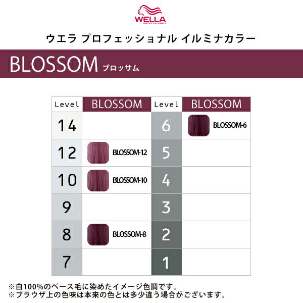 イルミナカラー ブロッサム10 2本 - カラーリング・白髪染め