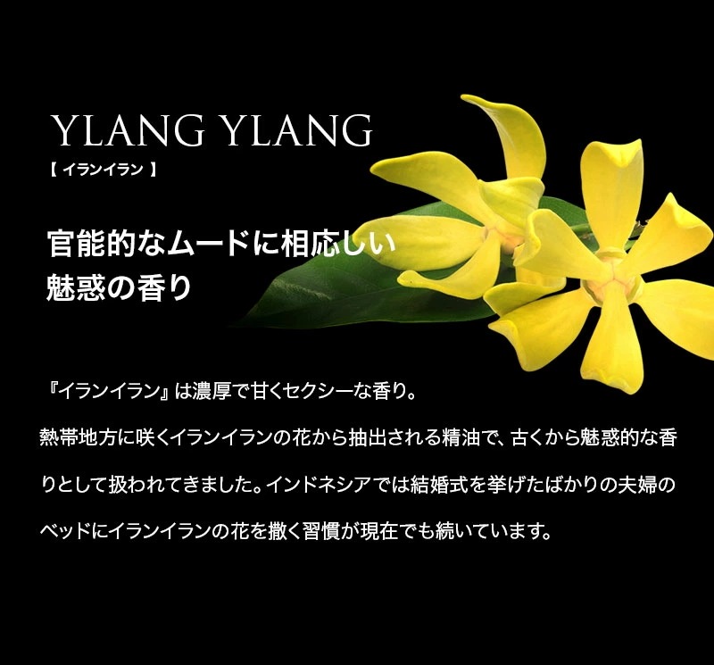 サムライダズル 女性を惑わせる香り DAZZLE 100ml オードトワレ 【SAMOURAI サムライ ダズル メンズ香水 男性 モテ フェロモン】