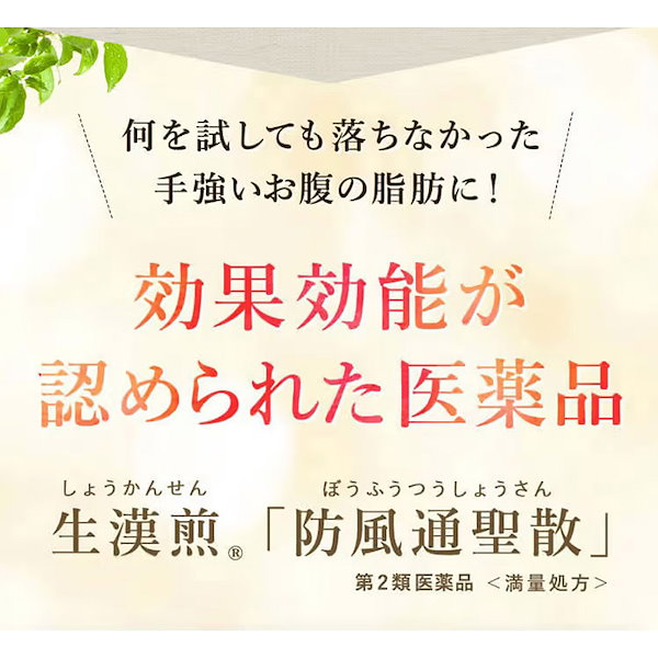 Qoo10] ポスト投函 生漢煎 防風通聖散 満量処方