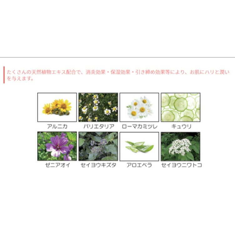 エスク ビューティーエッセンスEX　60ｍｌ
