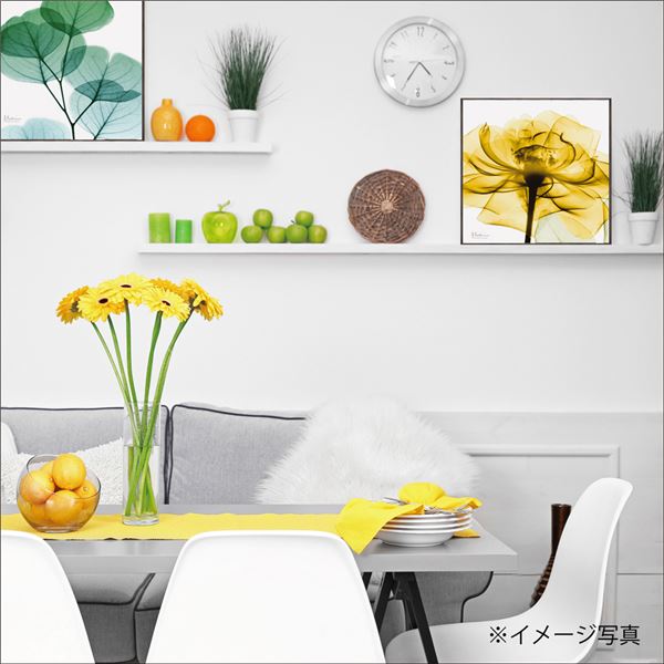 ユーパワー X-RAYキャンバスアート 「ゴールデンローズ」（スクエアSサイズ）