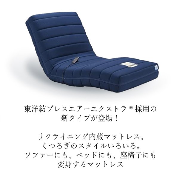 フランスベッド RP-2000BAE 電動リクライニングマットレス ルーパームーブ シングル S