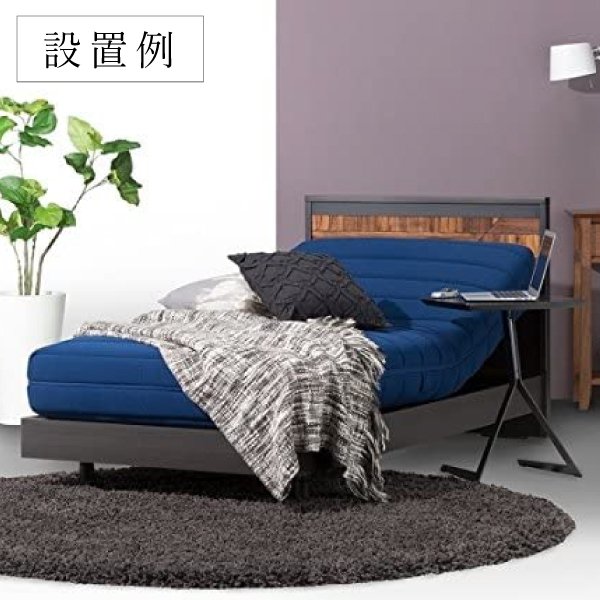 フランスベッド RP-2000BAE 電動リクライニングマットレス ルーパームーブ シングル S