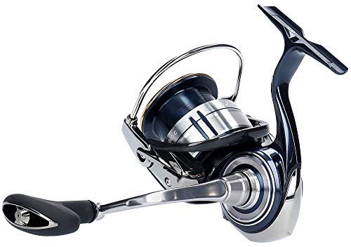 ダイワ ダイワ(DAIWA) : アウトドア : 人気再入荷