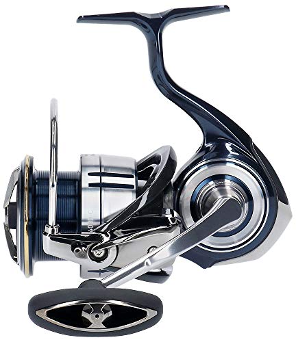 ダイワ ダイワ(DAIWA) : アウトドア : 人気再入荷