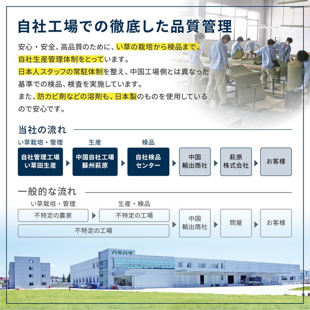 【同色6枚セット】 置き畳 四季 約65×65×1.5cm 6枚入 縁なし へりなし畳 フロア畳 ユニット畳 い草 カラフル 滑り止め付き