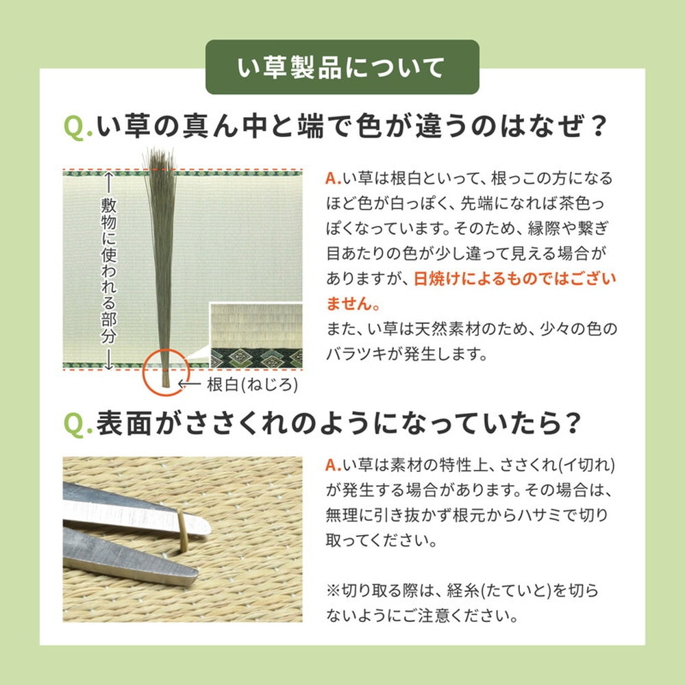 【同色6枚セット】 置き畳 四季 約65×65×1.5cm 6枚入 縁なし へりなし畳 フロア畳 ユニット畳 い草 カラフル 滑り止め付き