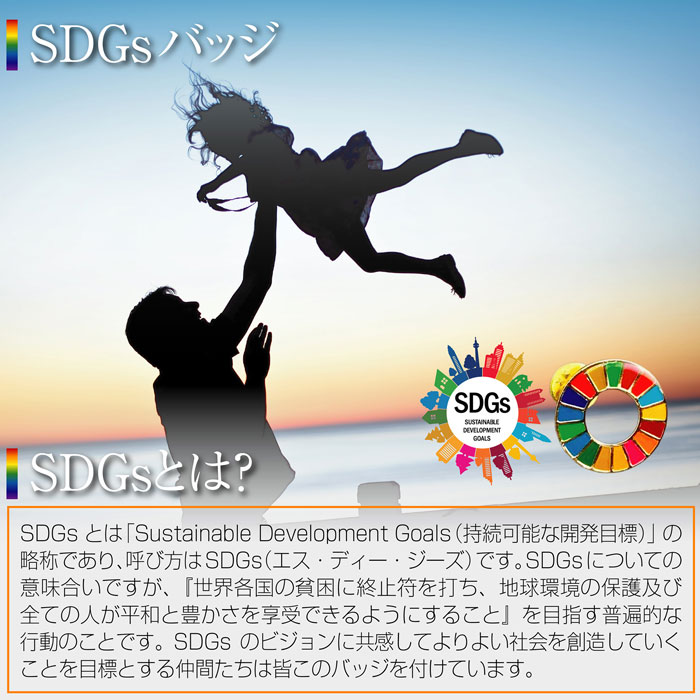 【10個セット】SDGs バッジ 簡単 取り付け きれい 持続可能な開発目標 Sustainable Development Goals 地域環境の保護 金属製 高級感