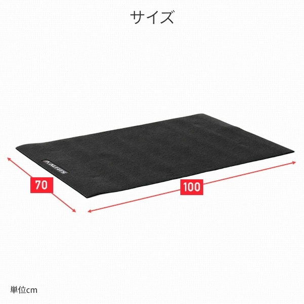 ぶら下がり健康器＆フロアマット お買い得セット BBK-220/EXP100