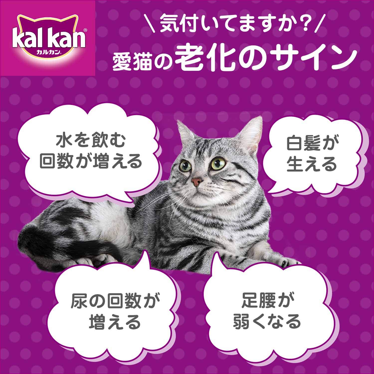 カルカン パウチ 15歳から 味わいチキン キャットフード チキン 高齢猫用 70g×160袋 (ケース販売)
