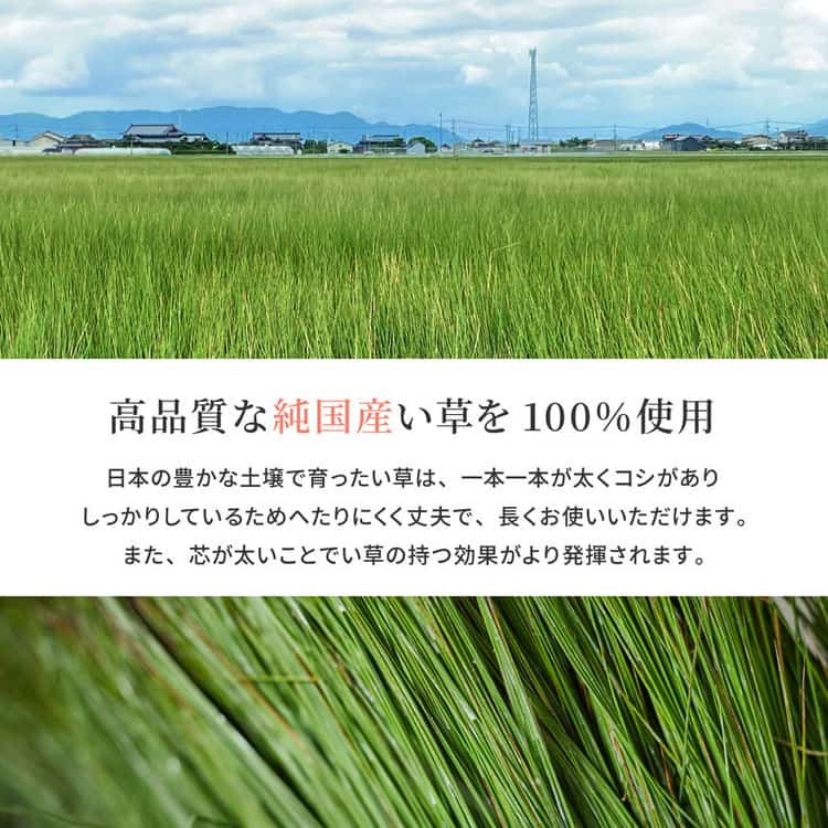 国産 い草ラグ 栄山 約191×250cm 裏貼り 滑り止め加工 センターラグ アクセントラグ モダン 北海道追加送料 沖縄離島はお届け不可 メーカーより直送