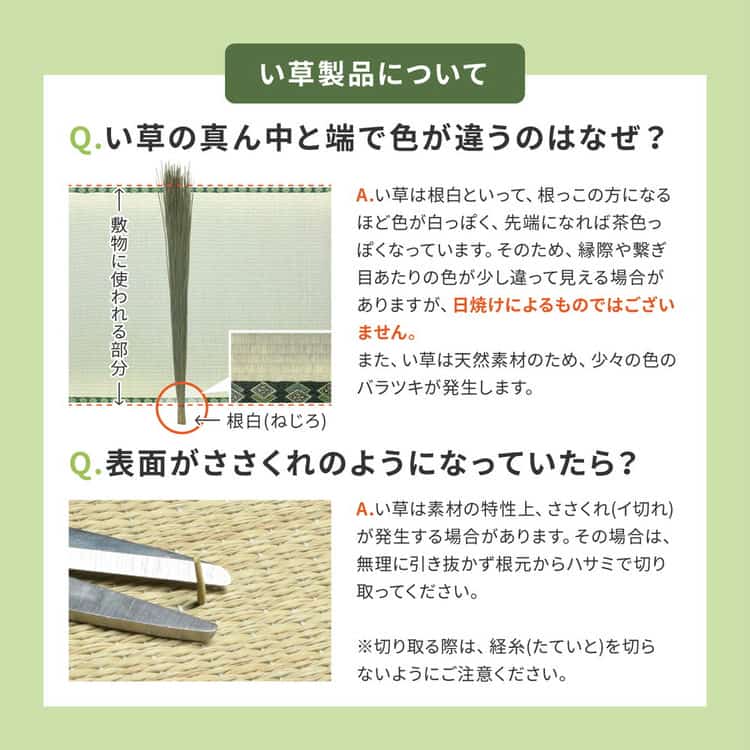 国産 い草ラグ 栄山 約191×250cm 裏貼り 滑り止め加工 センターラグ アクセントラグ モダン 北海道追加送料 沖縄離島はお届け不可 メーカーより直送