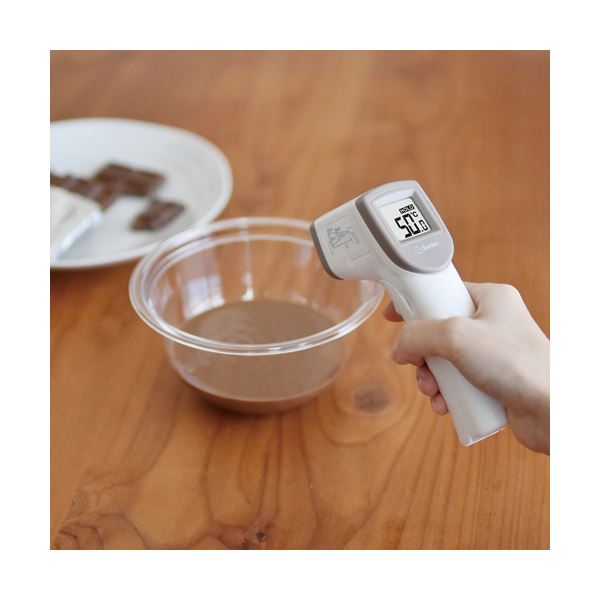 サッとはかれる温度計 ホワイト O-604WT 1個
