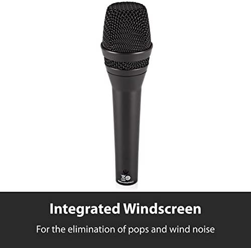AKG アカゲ ボーカル用 スーパーカーディオイドマイクロホン P5 S スイッチ付 【国内正規品】