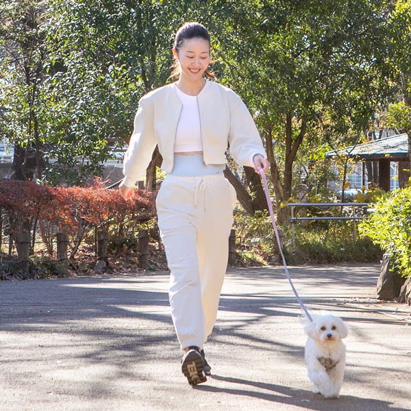 ヨガクリエイターaya監修 icoelle イコエル スピードシェイプ (全国一律送料無料) ベルト型EMS ウエスト 引き締め 美姿勢 体幹 シェイプベルト 筋肉 EMS 低周波 ヨガクリエイターaya監修 icoelle イコエル スピードシェイプ (全国一律送料無料) ベルト型EMS ウエスト 引き締め 美姿勢 体幹 シェイプベルト 筋肉 EMS 低周波