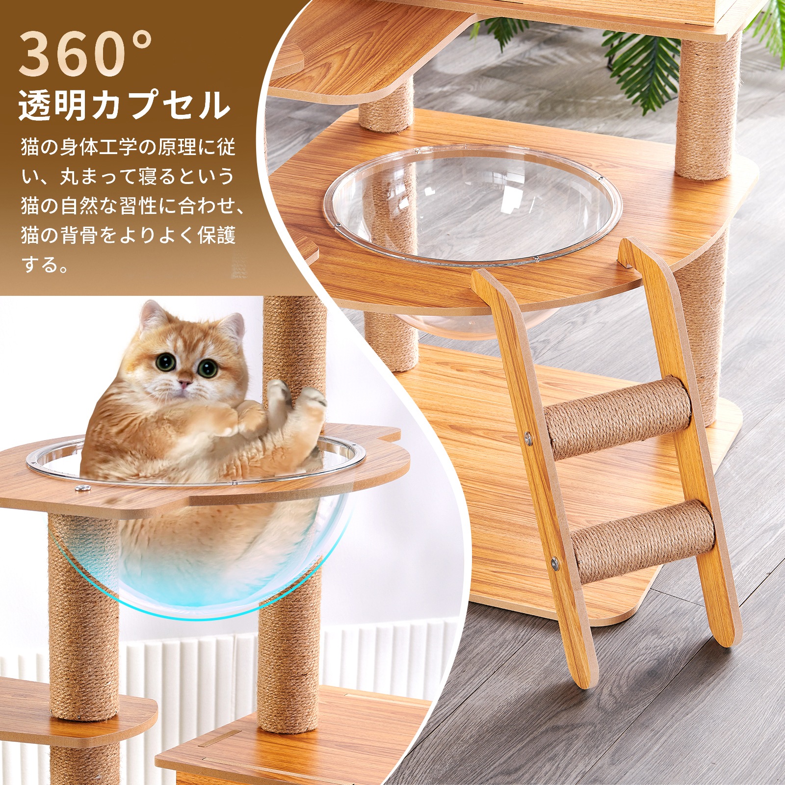 キャットタワー ハンモック 木製 スリムデザイン 宇宙船型透明ボウル 多頭飼い キャットタワー ハンモック 木製 スリムデザイン 宇宙船型透明