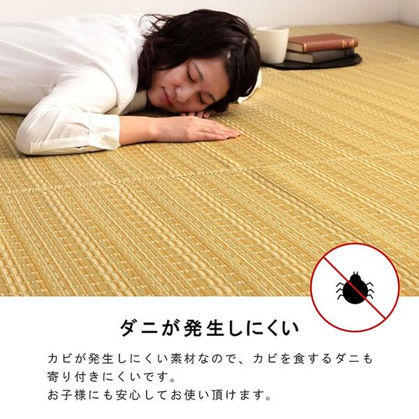 洗える カーペット ラグ マット 団地間6畳 約255x340cm ベージュ 国産