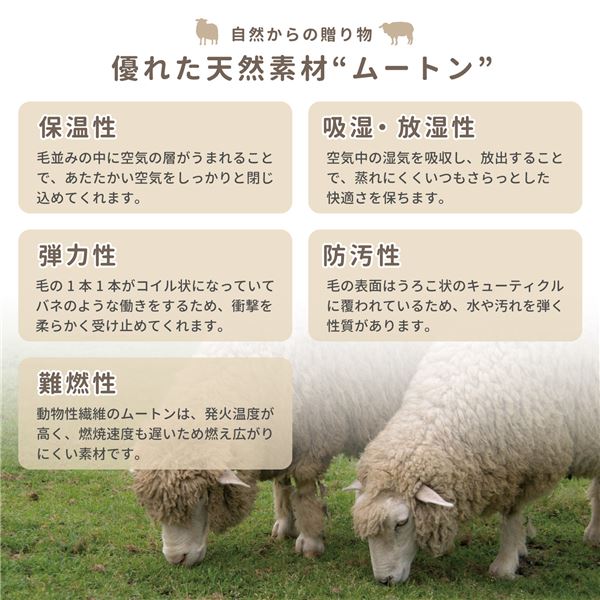 天然ムートン 円座クッション/座布団 直径 約40cm ベージュ 羊毛皮100％ 吸湿性 保温性 保湿性 防汚性抜群 M-9000
