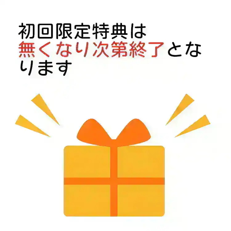 国内発送 [当店限定特典付] Stray Kids 3種セット【限定版＋通常版ランダム1種＋Letter Ver1種】 [ ATE ] Album / 1次予約