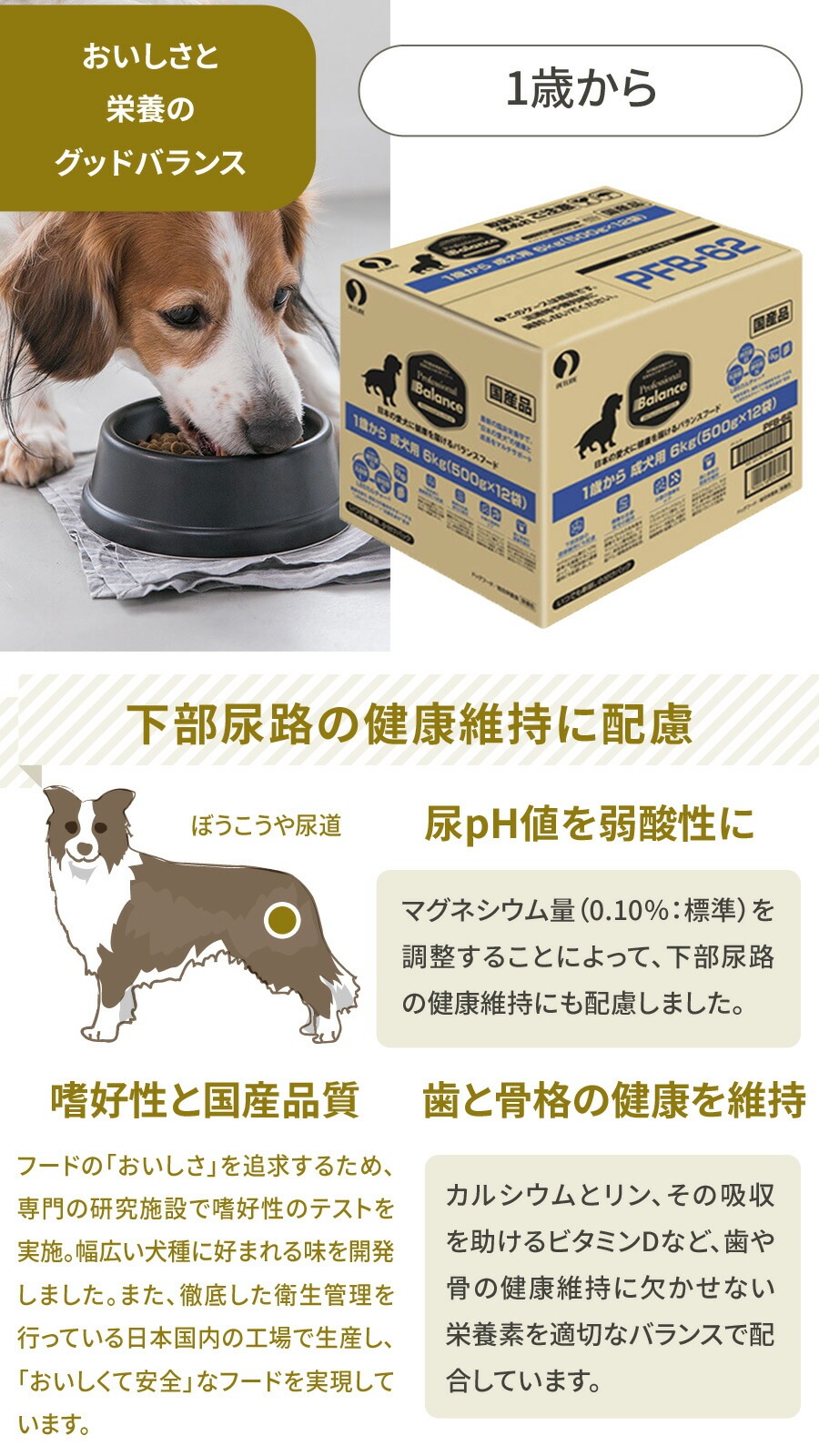 1歳から 6kg ドッグフード 1歳から 6kg ドッグフード