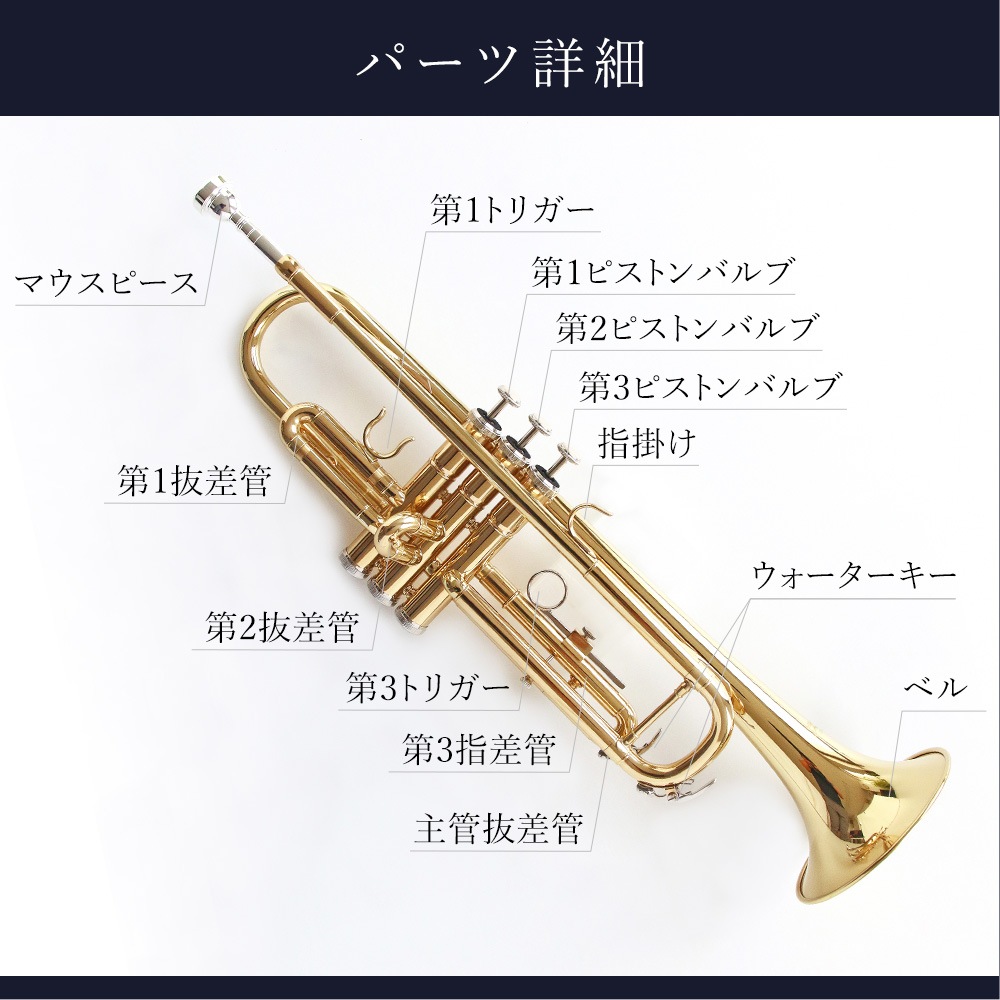 セルバ 初心者用トランペット ゴールド