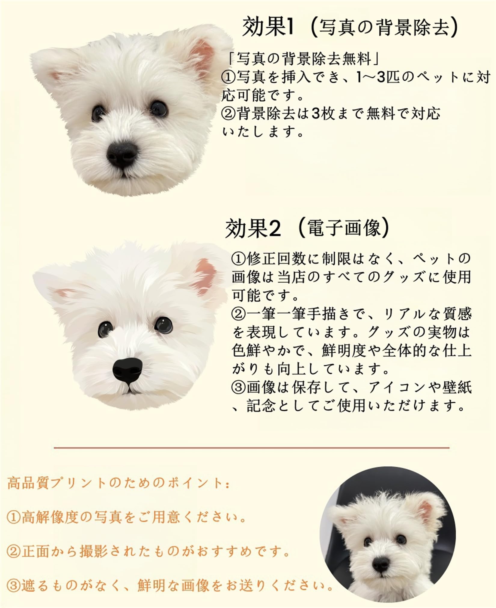 ペットラグ オーダーメイド 大きいサイズ 犬猫用 写真入り 名前入り カラー指定対応可能 メモリアル用品 オリジナル おしゃれ プレゼント お風呂マット 玄関マット 洗える インテリア ペットラグ オーダーメイド 大きいサイズ 犬猫用 写真入り 名前入り カラー指定対応可能 メモリアル用品 オリジナル おしゃれ プレゼント お風呂マット 玄関マット 洗える インテリア