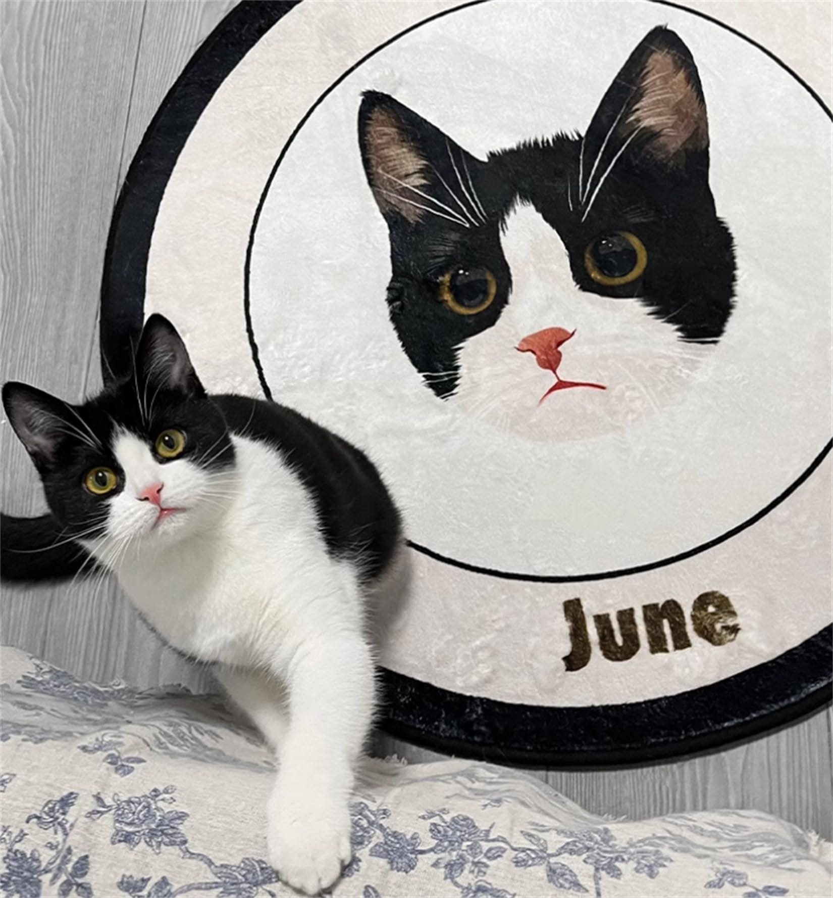 ペットラグ オーダーメイド 大きいサイズ 犬猫用 写真入り 名前入り カラー指定対応可能 メモリアル用品 オリジナル おしゃれ プレゼント お風呂マット 玄関マット 洗える インテリア ペットラグ オーダーメイド 大きいサイズ 犬猫用 写真入り 名前入り カラー指定対応可能 メモリアル用品 オリジナル おしゃれ プレゼント お風呂マット 玄関マット 洗える インテリア