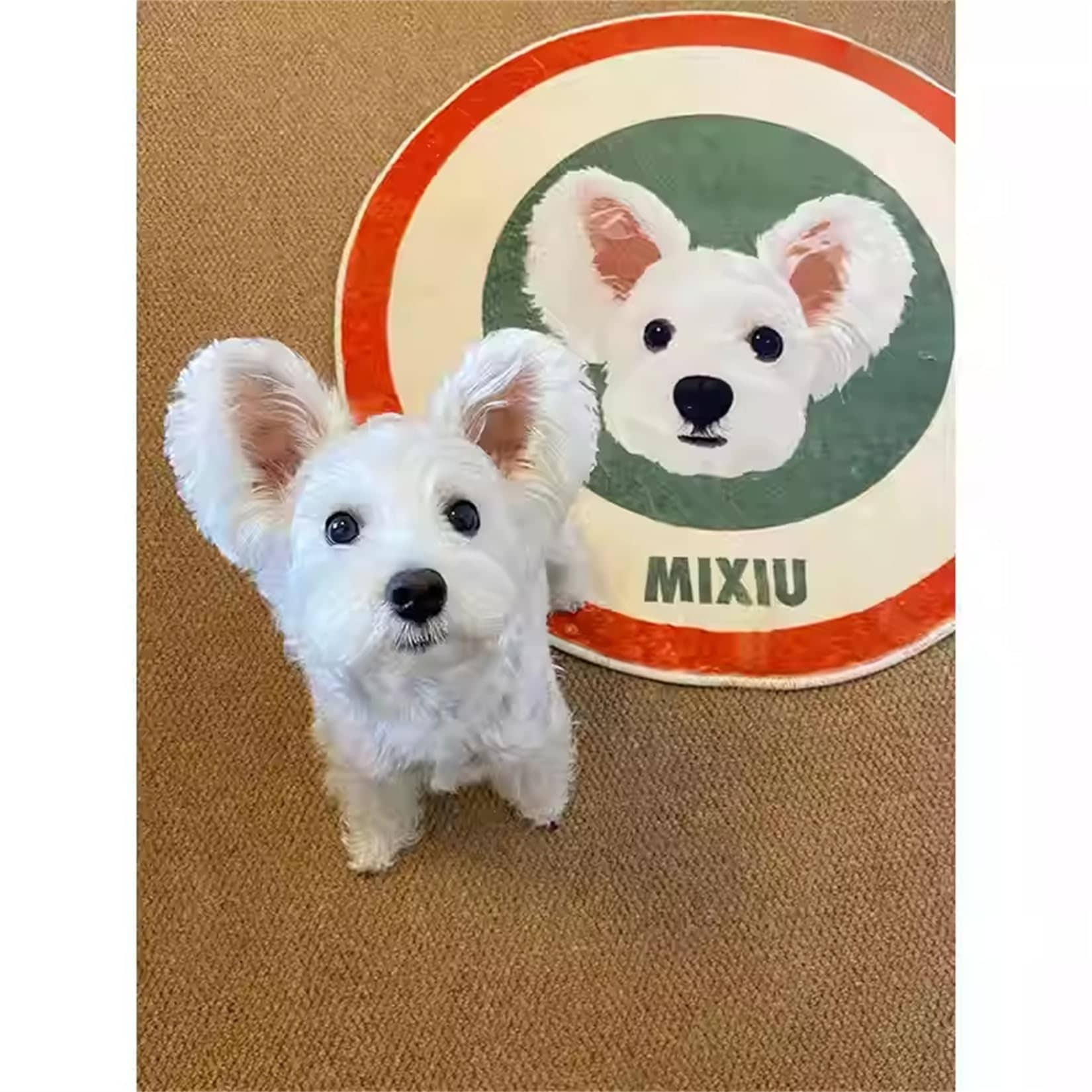 ペットラグ オーダーメイド 大きいサイズ 犬猫用 写真入り 名前入り カラー指定対応可能 メモリアル用品 オリジナル おしゃれ プレゼント お風呂マット 玄関マット 洗える インテリア ペットラグ オーダーメイド 大きいサイズ 犬猫用 写真入り 名前入り カラー指定対応可能 メモリアル用品 オリジナル おしゃれ プレゼント お風呂マット 玄関マット 洗える インテリア