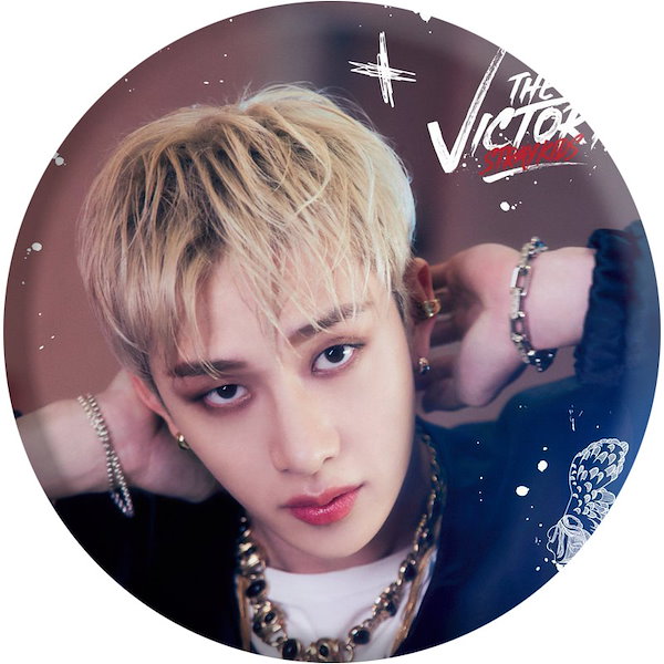 Stray kids Felix フィリックス 缶バッジ victory 16個