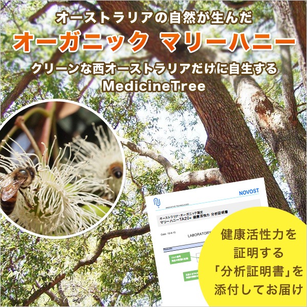 健康ギフト マリーハニー TA 20+ 130g スタンドパック3個セット 蜂蜜 はちみつ 健康ギフト マリーハニー TA 20+ 130g スタンドパック3個セット 蜂蜜 はちみつ